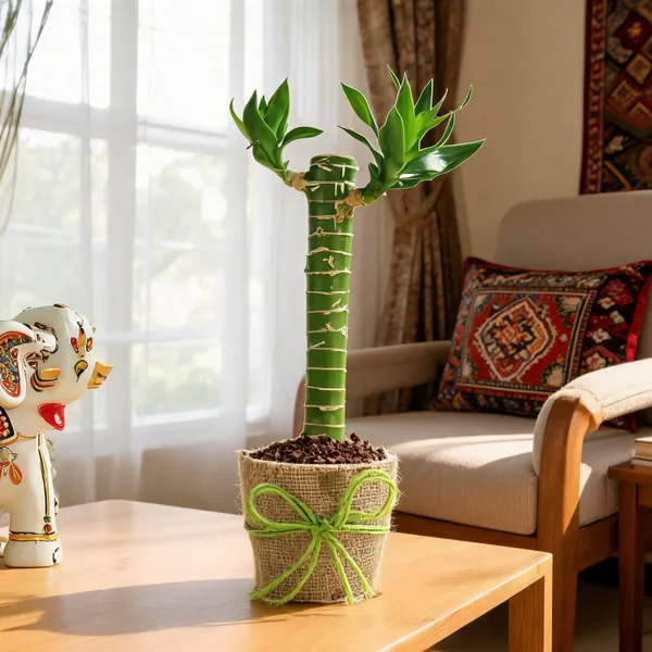 Natural_Plant_Home_And_Office_Decorationfor_Indoor