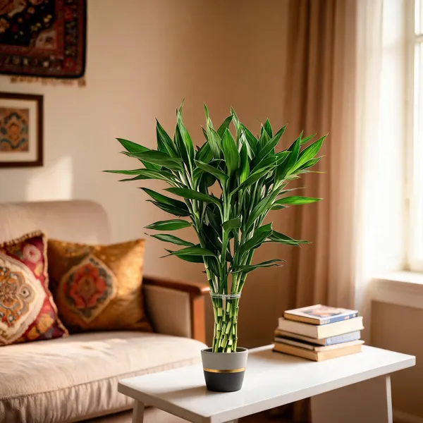 Natural_Plant_Home_And_Office_Decorationfor_Indoor_Pack_Of_6