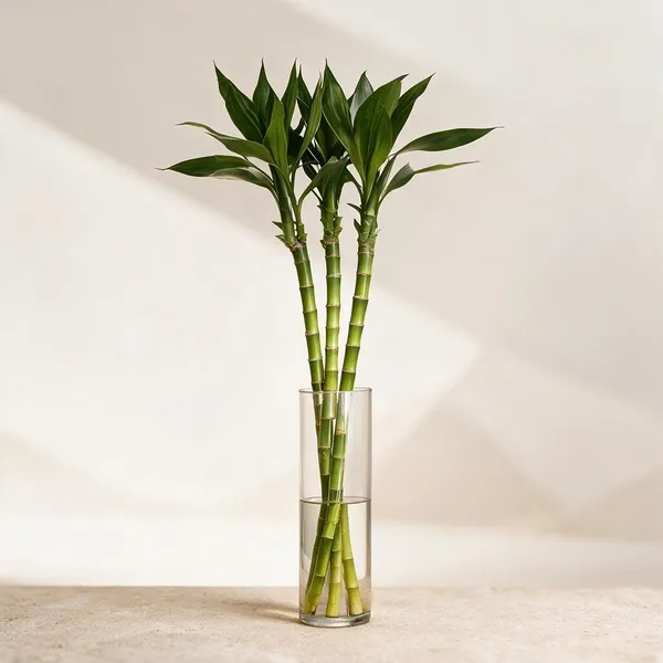 Natural_Plant_Home_And_Office_Decorationfor_Indoor_Pack_Of_4