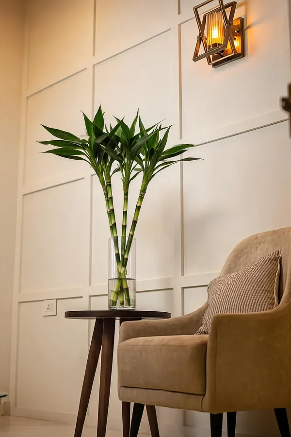 Natural_Plant_Home_And_Office_Decorationfor_Indoor_Pack_Of_4