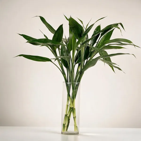Natural_Plant_Home_And_Office_Decorationfor_Indoor_Pack_Of_4
