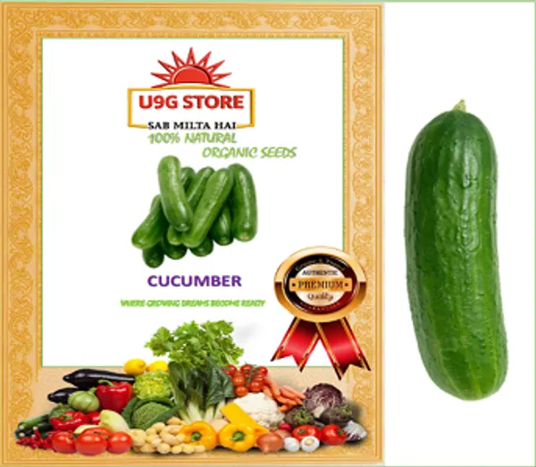 Cucumber_Kheera_Keera