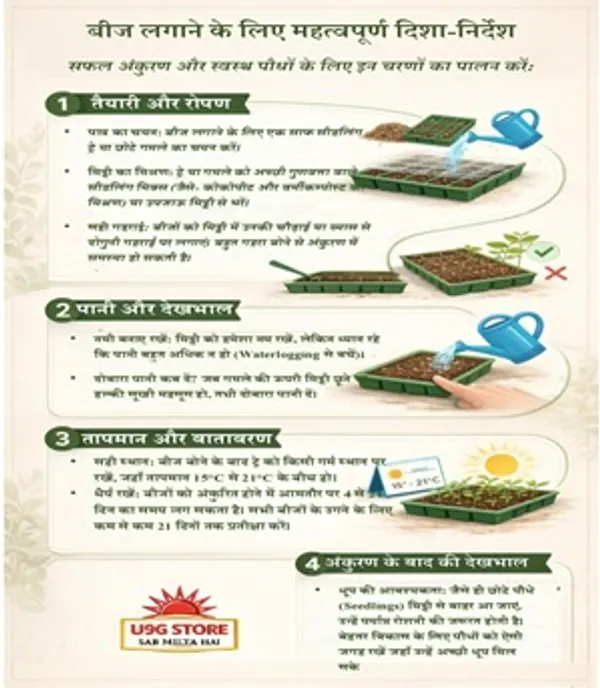 Green_Capsicum_Shimla_Mirch_Hybrid_Seeds