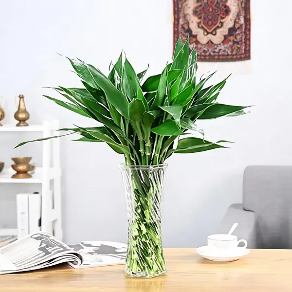 Natural_Plant_Home_And_Office_Decorationfor_Indoor_Pack_Of_6