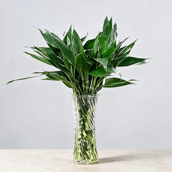 Natural_Plant_Home_And_Office_Decorationfor_Indoor_Pack_Of_6
