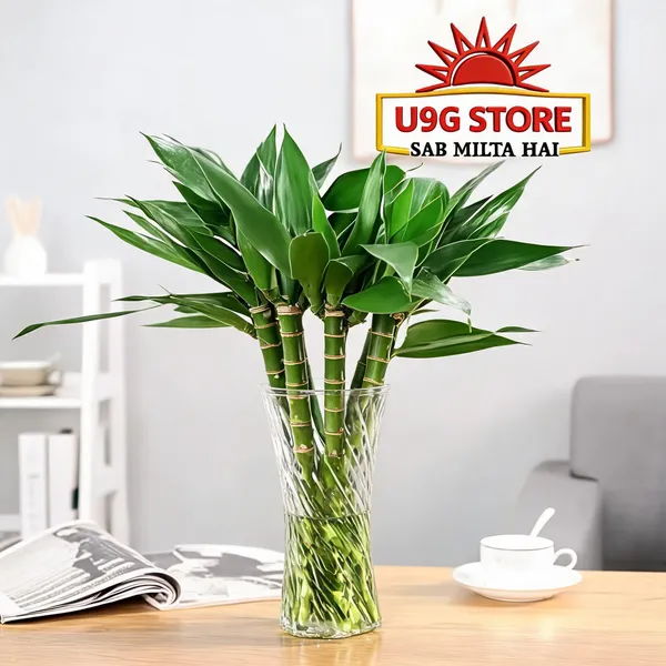 Natural_Plant_Home_And_Office_Decorationfor_Indoor