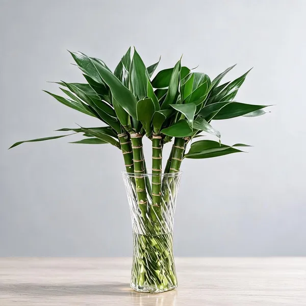 Natural_Plant_Home_And_Office_Decorationfor_Indoor