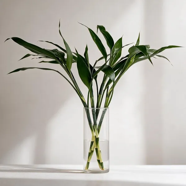 Natural_Plant_Home_And_Office_Decorationfor_Indoor_Pack_Of_4