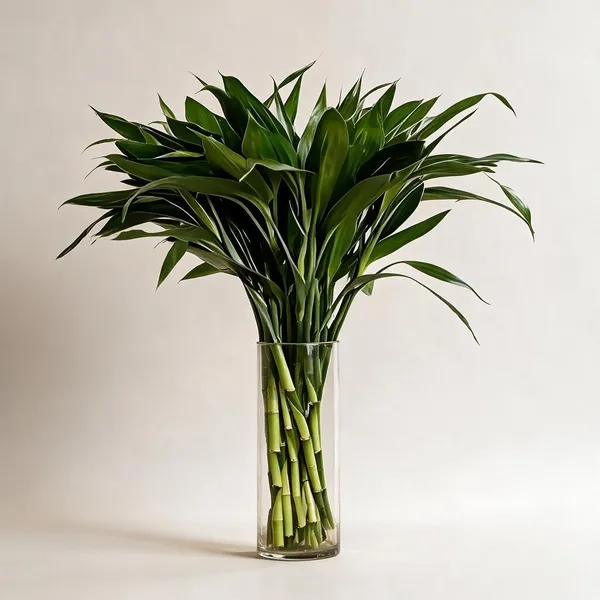 Natural_Plant_Home_And_Office_Decorationfor_Indoor_Pack_Of_10