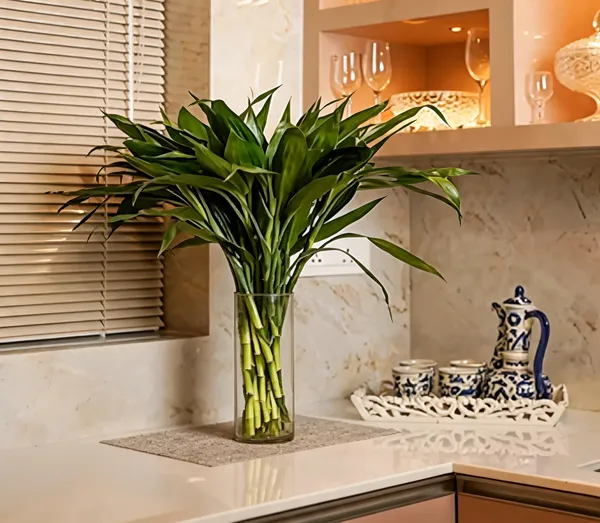 Natural_Plant_Home_And_Office_Decorationfor_Indoor_Pack_Of_10