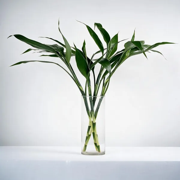 Natural_Plant_Home_And_Office_Decorationfor_Indoor_Pack_Of_4