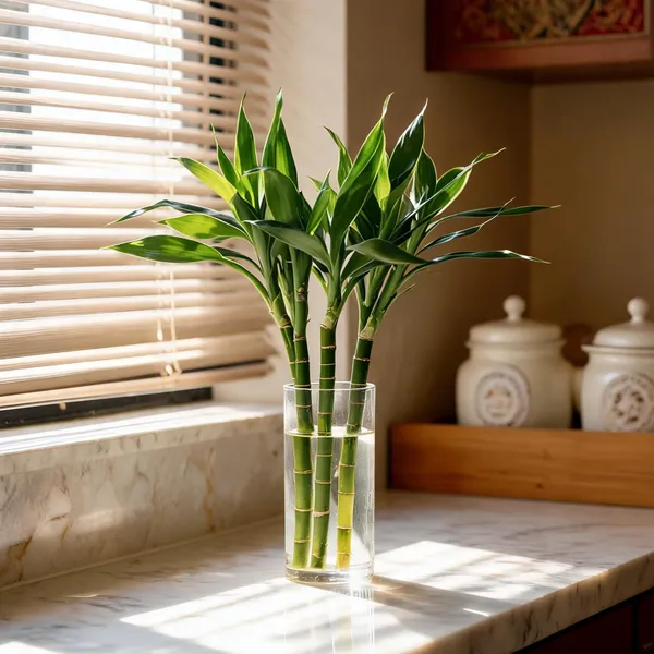 Natural_Plant_Home_And_Office_Decorationfor_Indoor_Pack_Of_4