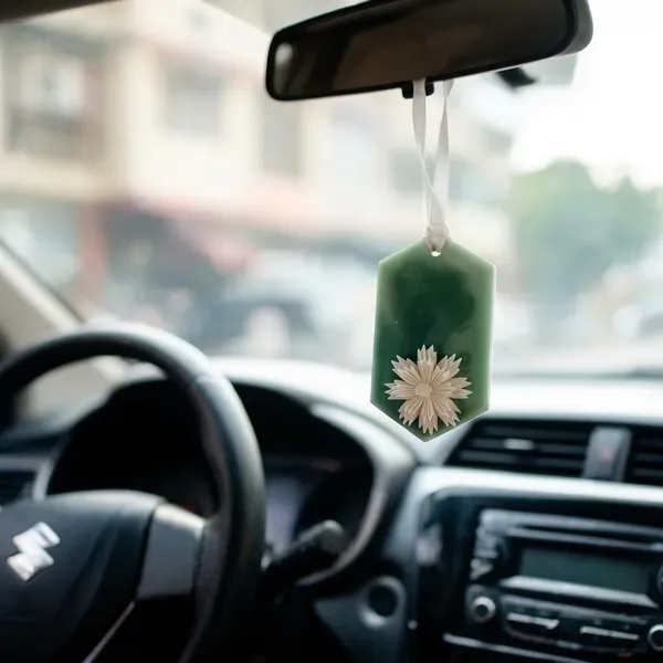 Green_Soya_Wax_Air_Freshener_For_Home_And_Offoce_(Pack_Of_2_)