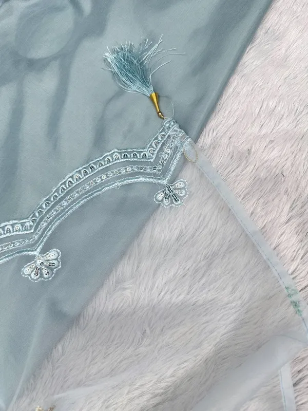Grey_Organza_Embroidered_Suit_Set_for_Women