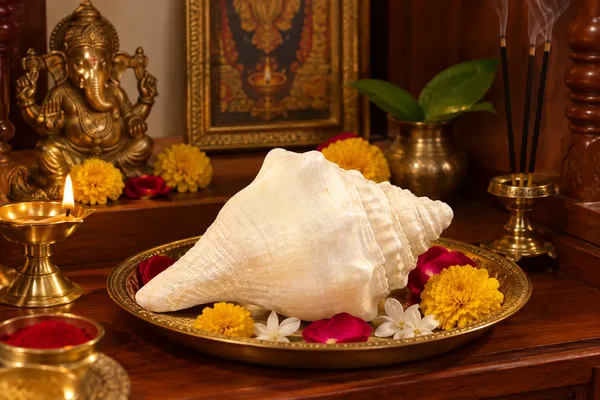 Pure_conch_shell_Padma_shankha_for_puja