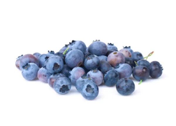 The_Bestowals_Dried_Blueberries