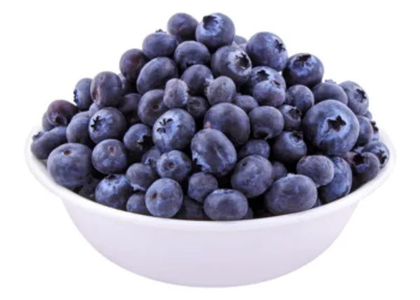 The_Bestowals_Dried_Blueberries