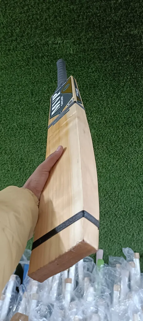 Double_Blade_Bat