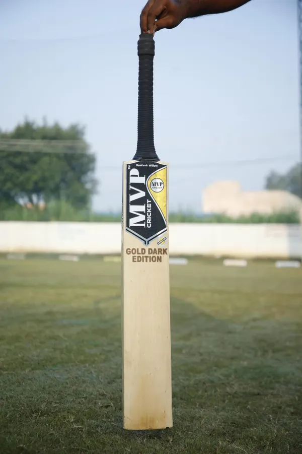 Gold_Dark_Edition_Bat
