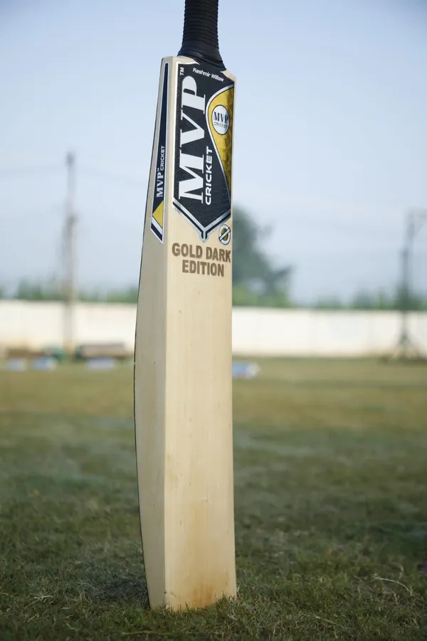 Gold_Dark_Edition_Bat