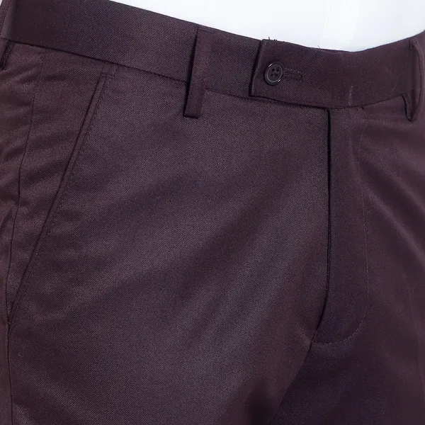 RRFASHION_Slim_Fit_Men_Brown_Trousers_()