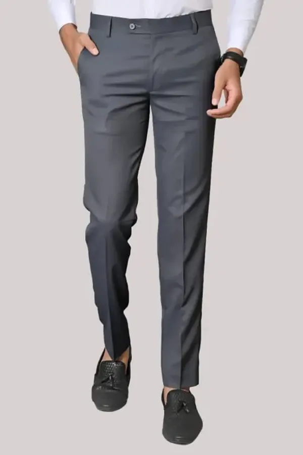 ALTARO_Slim_Fit_Men_Grey_Trousers_()