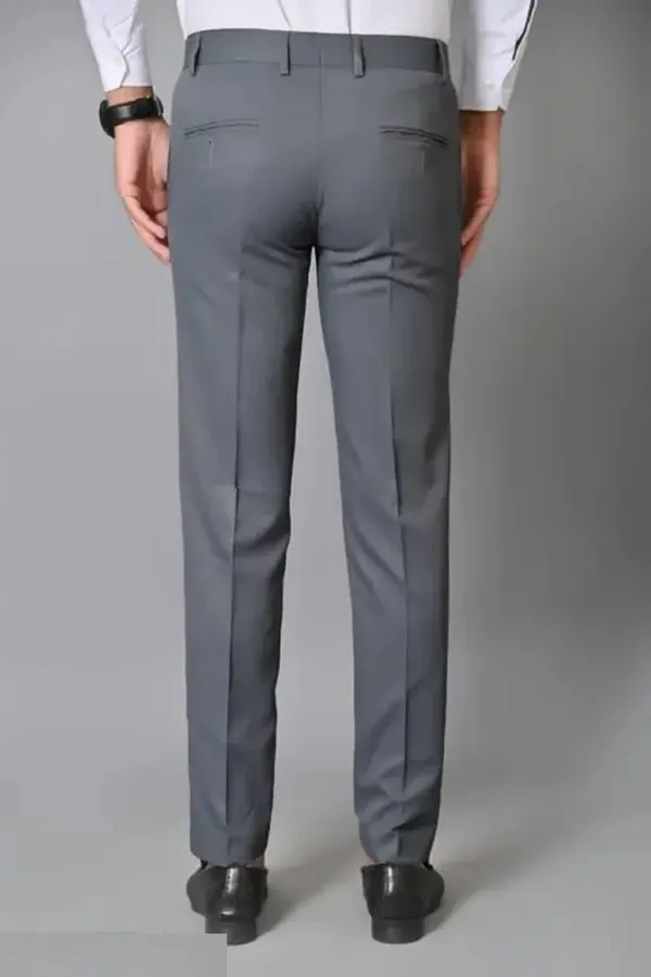 ALTARO_Slim_Fit_Men_Grey_Trousers_()