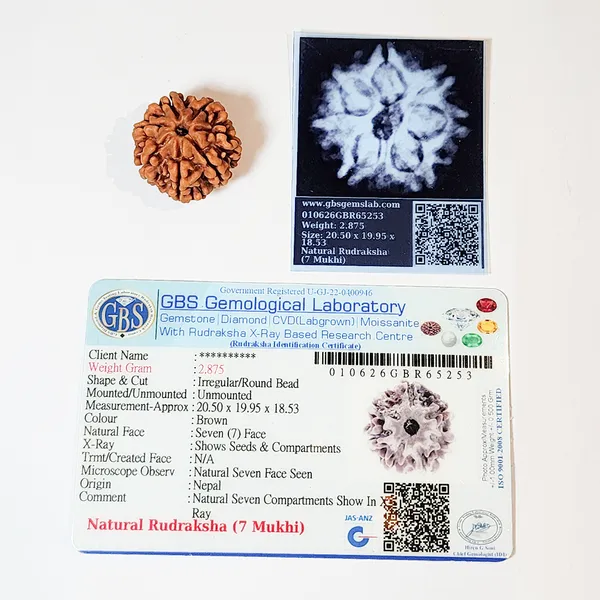 7_Mukhi_Nepali_Rudraksha