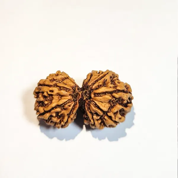 Gauri_Shanker_Nepali_Rudraksha