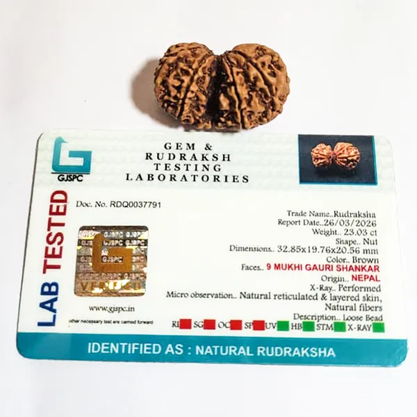 Gauri_Shanker_Nepali_Rudraksha
