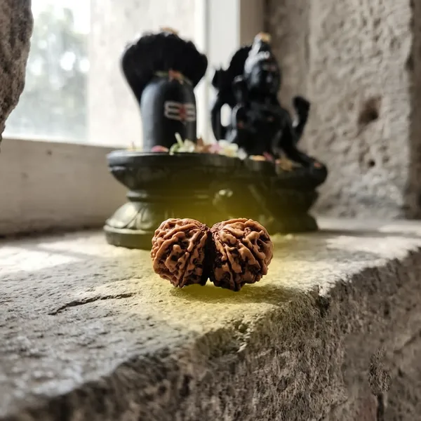 Gauri_Shanker_Nepali_Rudraksha
