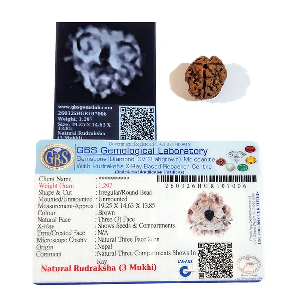 3_Mukhi_Nepali_Rudraksha