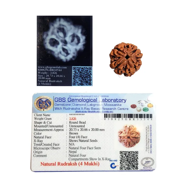 4_Mukhi_Nepali_Rudraksha