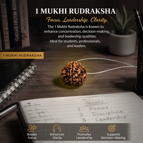 1_Mukhi_Nepali_Rudraksha_Round