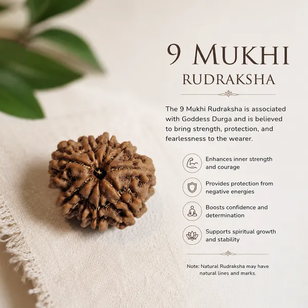 9_Mukhi_Nepali_Rudraksha
