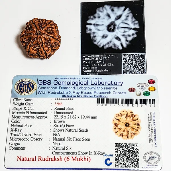 6_Mukhi_Nepali_Rudraksha