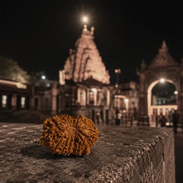 16_Mukhi_Nepali_Rudraksha