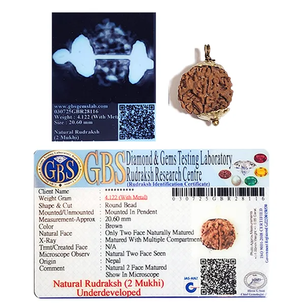 2_Mukhi_Nepali_Rudraksha_Round