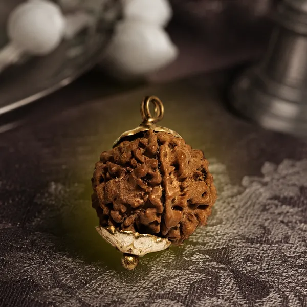 2_Mukhi_Nepali_Rudraksha_Round