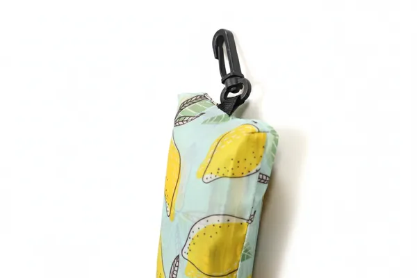 Mint_Printed_Zipper_Pouch_For_Women