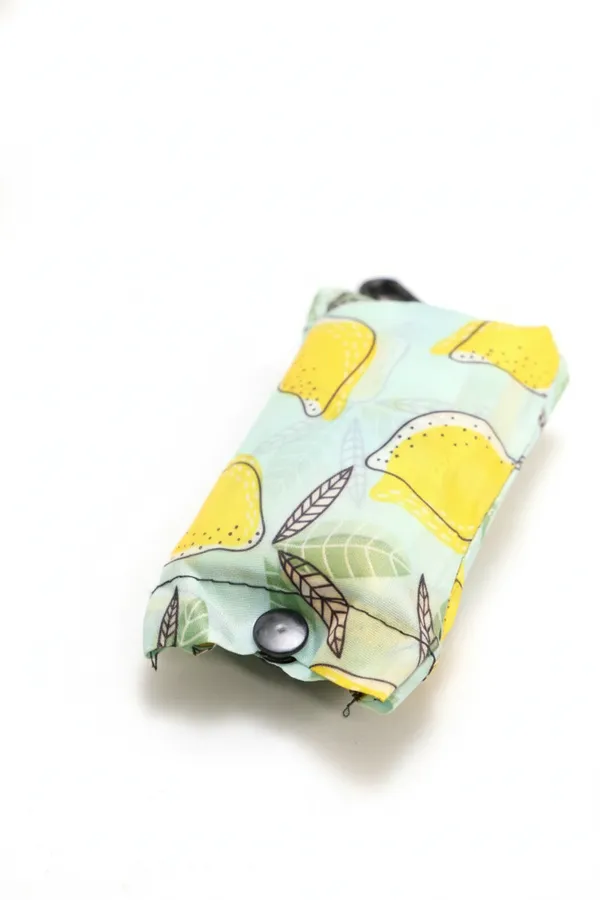 Mint_Printed_Zipper_Pouch_For_Women