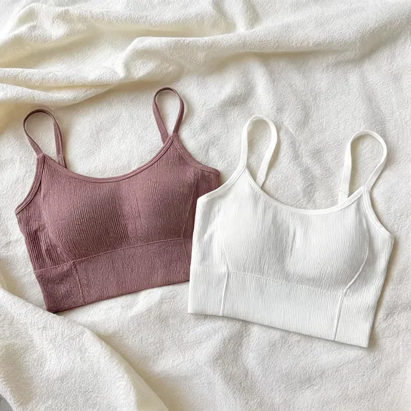 Mauve_And_White_Seamless_Crop_Bra_Pack_Of_2_For_Women