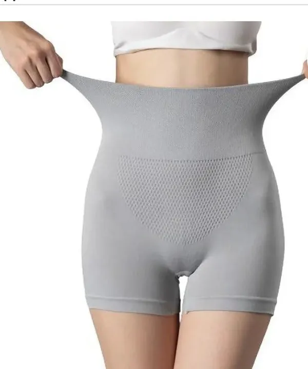 Women_Nylon_High_Waist_Briefs