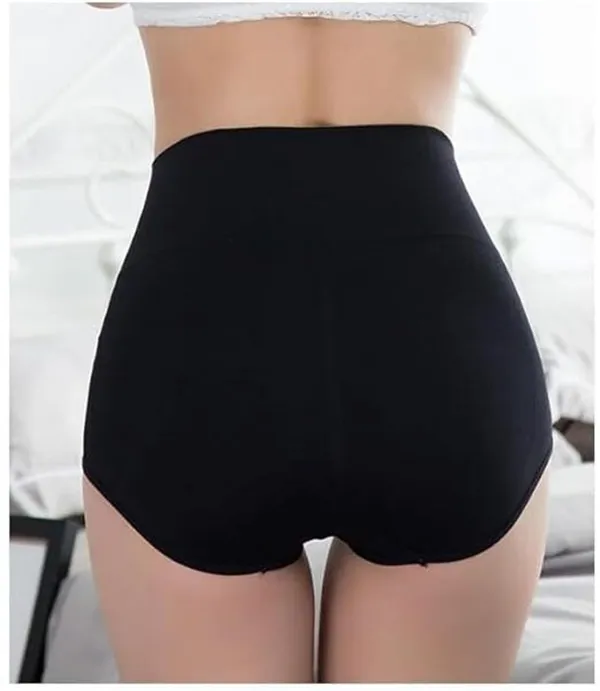 Women_Nylon_High_Waist_Briefs