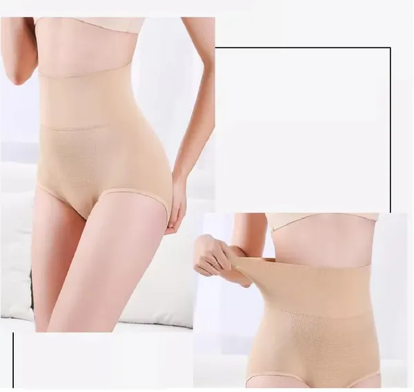 Women_Nylon_High_Waist_Briefs