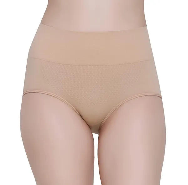 Women_Nylon_High_Waist_Briefs