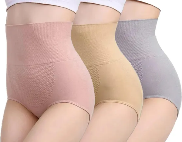 Women_Nylon_High_Waist_Briefs
