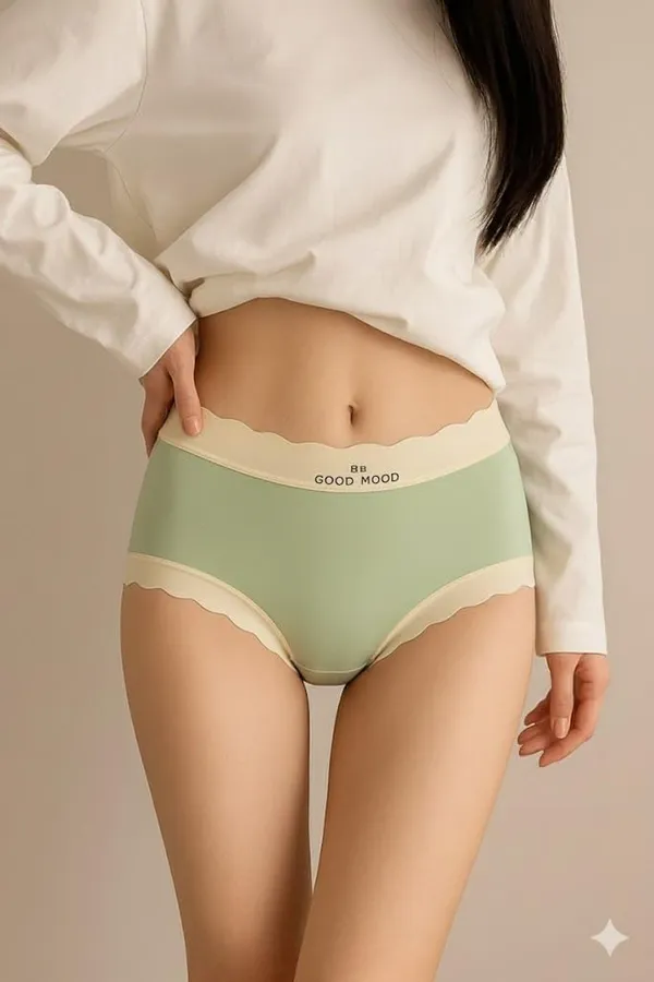 Women_S_Nylon_Seamless_Panty