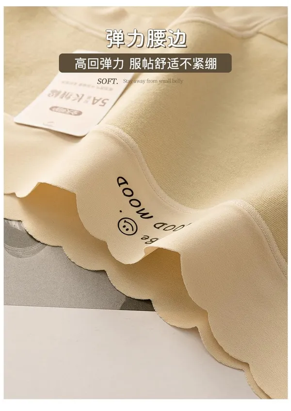 Women_S_Nylon_Seamless_Mid_Waist_Panty