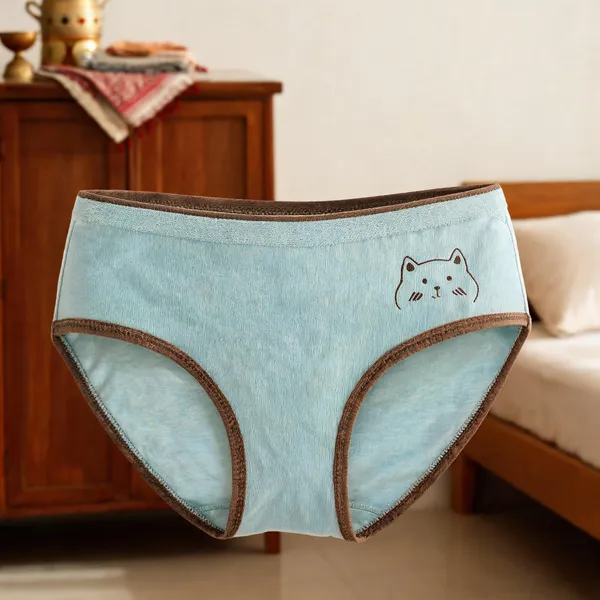 Assorted_Cotton_Full_Coverage_Briefs_for_Women